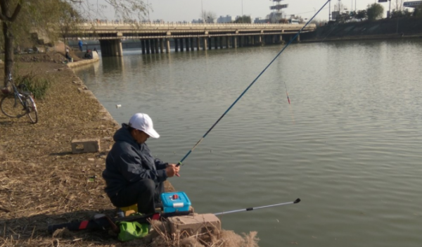 寒冬鯽魚不開口，加點新增劑才能撬開魚嘴