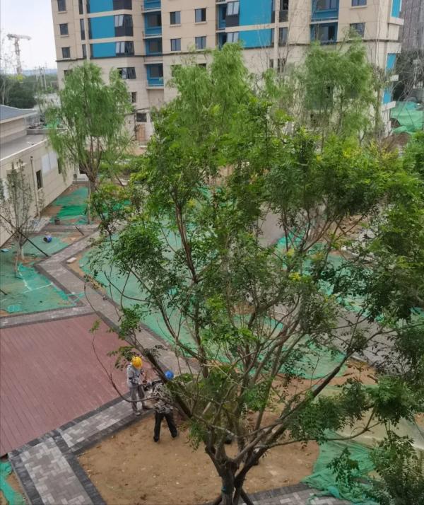 堪稱最優建築質量的安置房建設進度播報來了——中筑西府海棠