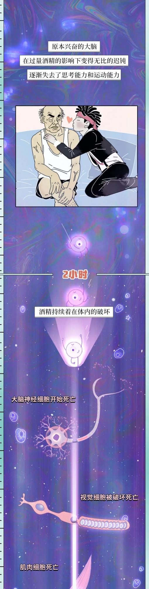 喝酒後24小時人體變化圖鑑