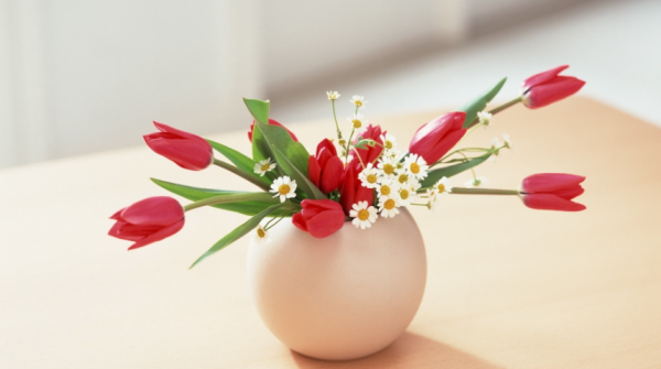 人老了,想要安度晚年,需要擁有以下“四個依靠” 人老了,想要安度晚年,需要擁有以下“四個依靠”