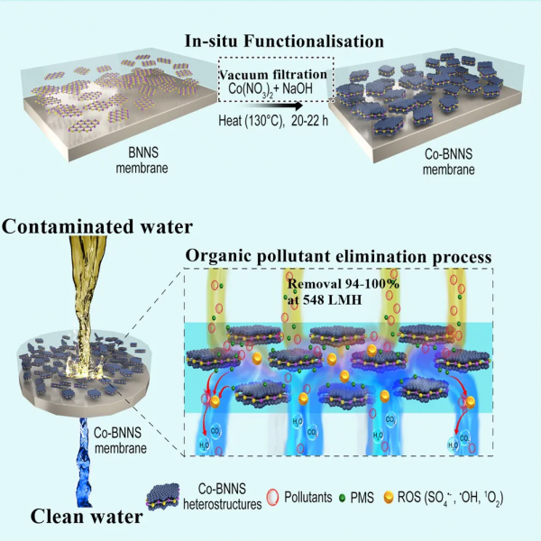 我國學者同一天發表6篇Nature，歐洲發現毒力更強的HIV變異株，馬斯克當選美國工程院院士丨一週科技導讀