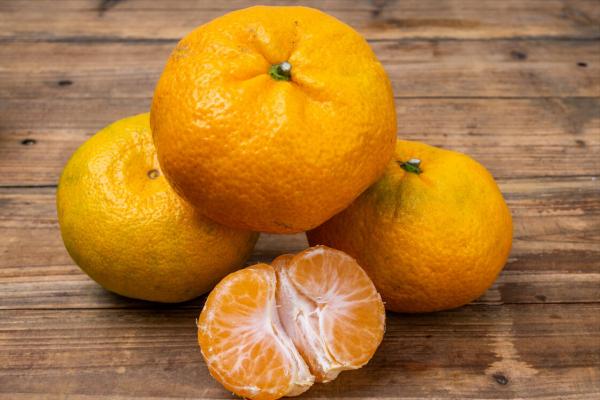 懂行人買橘子，不看個頭大小，只看這4點，個個皮薄肉厚又多汁