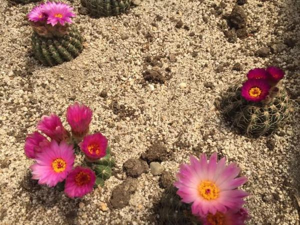 別把自己弄得那麼累