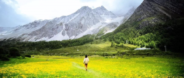 為什麼要去香格里拉