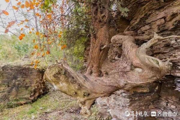 走進古村郭家莊，記錄鄉村生活
