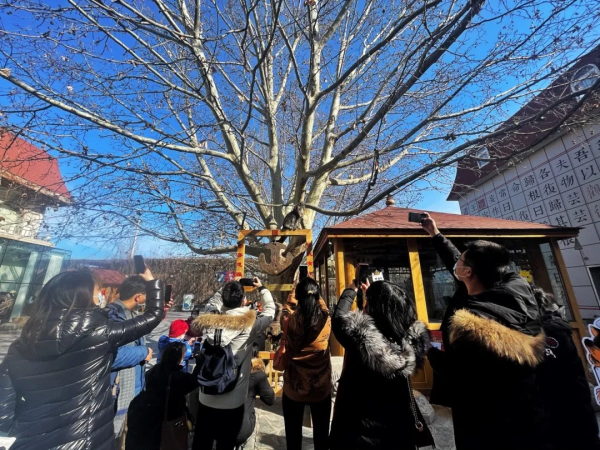 小貓咪都是怎樣&OpenCurlyDoubleQuote;爭寵&rdquo;的？