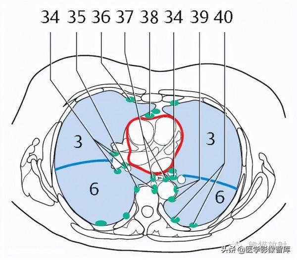 CT斷層解剖圖譜最全總結「推薦收藏」 CT斷層解剖圖譜最全總結「推薦收藏」