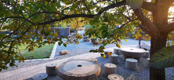 谷山味道▐ 厲害了!糧倉宴亮相央視,揭秘豪橫美食!果蔬採摘節強勢來襲! 谷山味道▐ 厲害了!糧倉宴亮相央視,揭秘豪橫美食!果蔬採摘節強勢來襲!