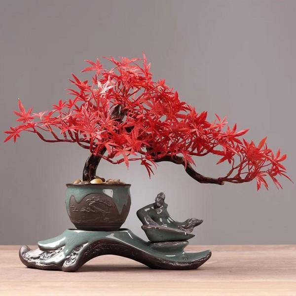 美麗醉人的楓紅盆景