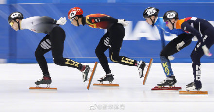 短道速滑世界盃日本站:武大靖涉險晉級500米第三輪 短道速滑世界盃日本站:武大靖涉險晉級500米第三輪