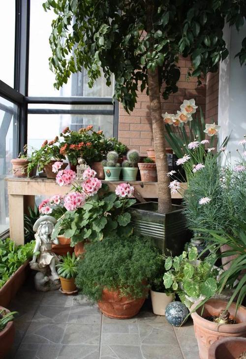 養花容易死，多因為不會澆水！常見的花卉澆水方式，快收好