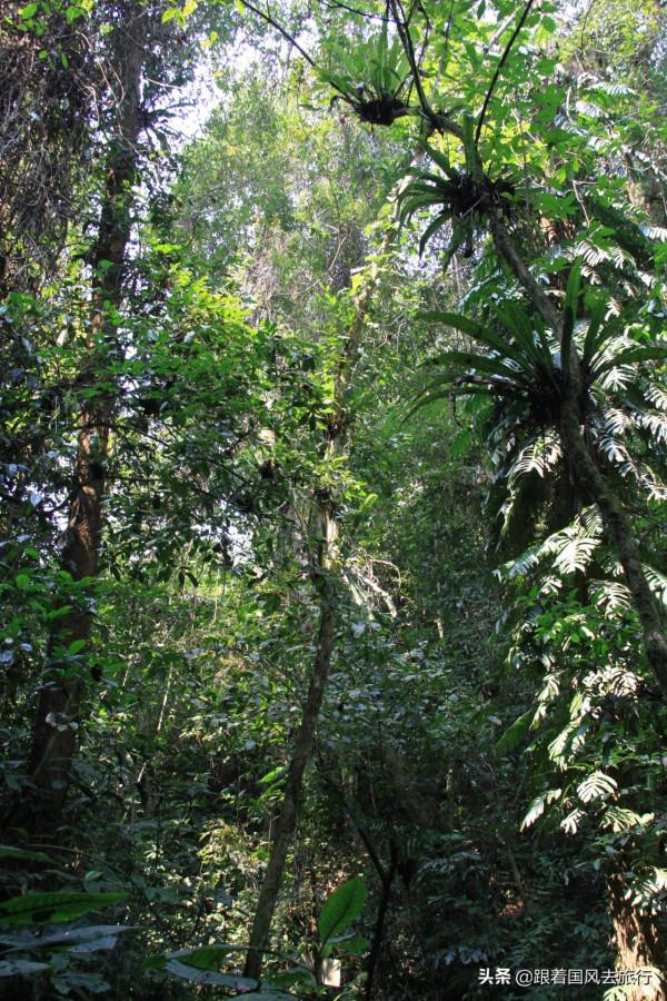 哀牢山無關“哀”和“牢”國風用親歷告訴你一個立體真實的哀牢山