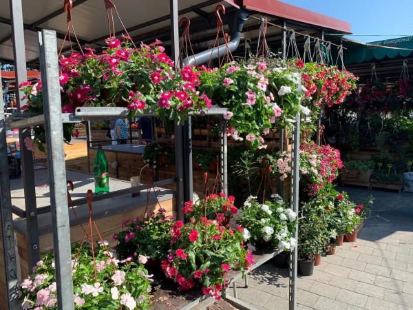 2019暑假塞爾維亞、波黑之旅（2）