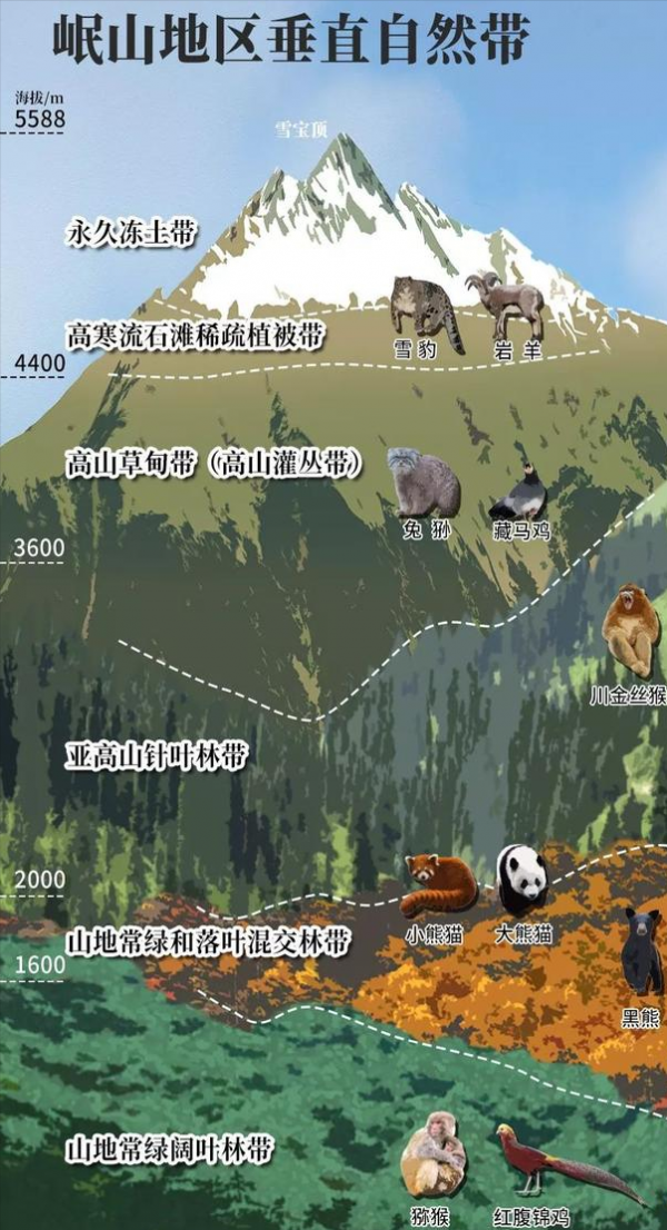 首次！鹿羊牛驢“四不像”驚現什邡，髮型太帥了，為何如此稀缺？