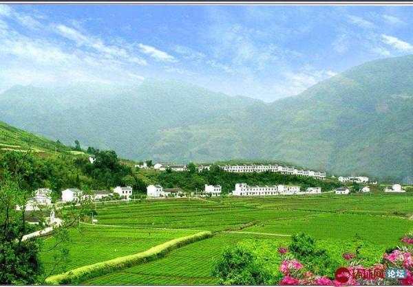 冬至||冬至上墳 冬至||冬至上墳