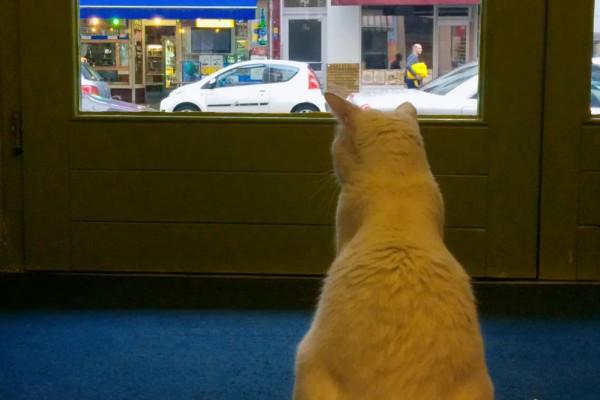 黑膠，買了窮，開心