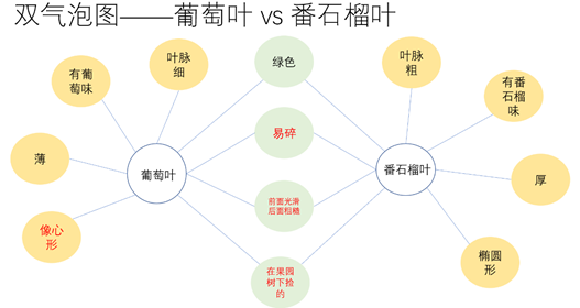 用Thinking Maps拆解《肚子裡有個火車站》下 用Thinking Maps拆解《肚子裡有個火車站》下