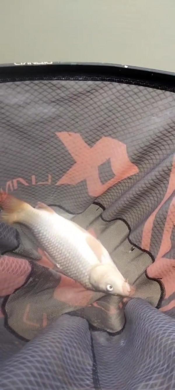 垂釣之旅——日行千里，只為漁你相見