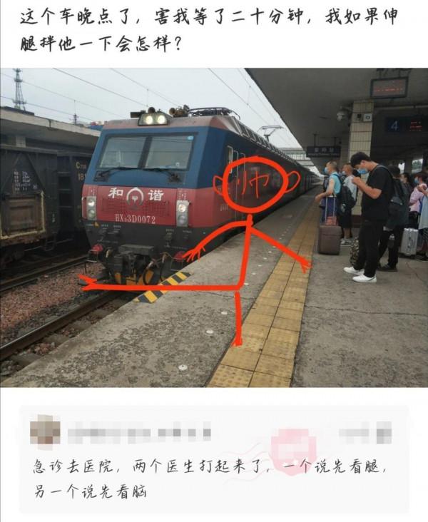 在野外遇到大熊貓可以帶回家嗎？