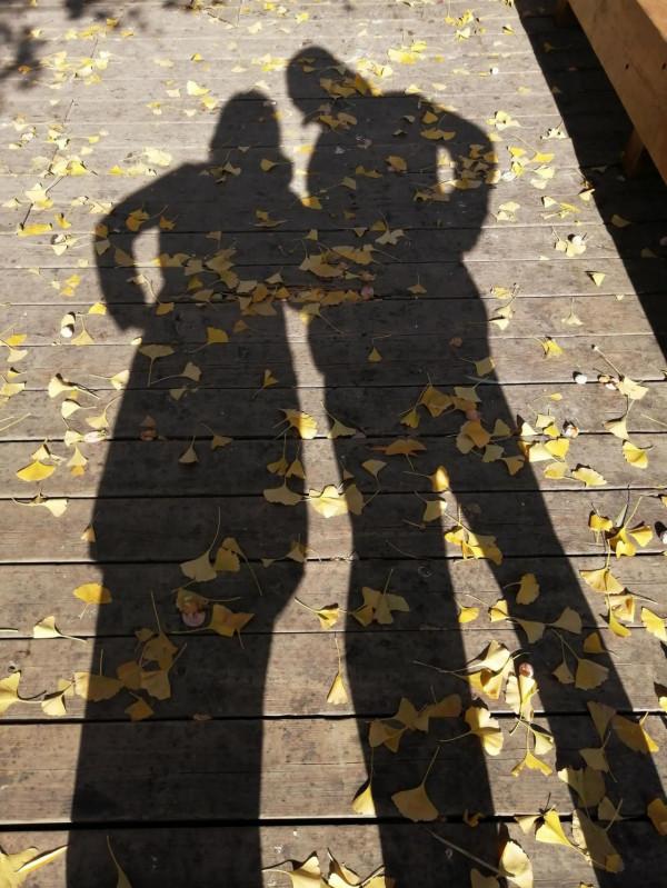 最美陶然亭 最美陶然亭