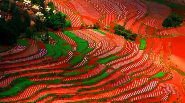 國內最美的35大美景,去過10個算及格,你去過幾個? 國內最美的35大美景,去過10個算及格,你去過幾個?