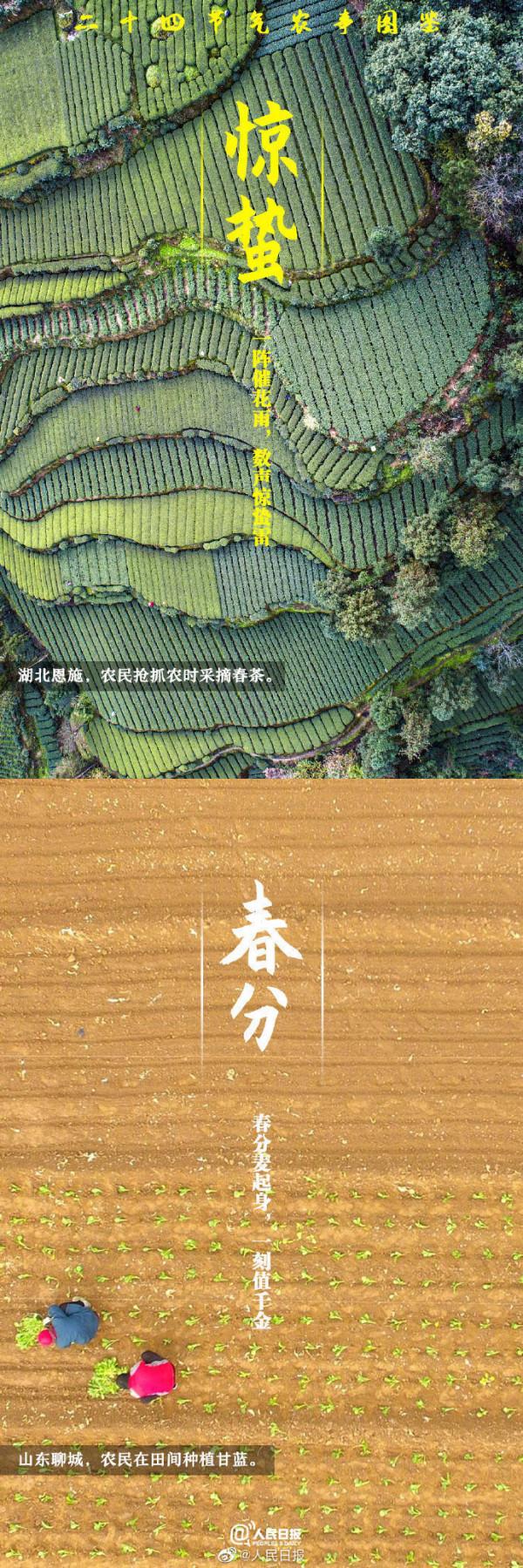 二十四節氣農事圖鑑 二十四節氣農事圖鑑