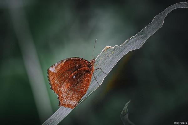 古代有四喜之說，而今人生有七大樂事，你知道分別是什麼嗎？