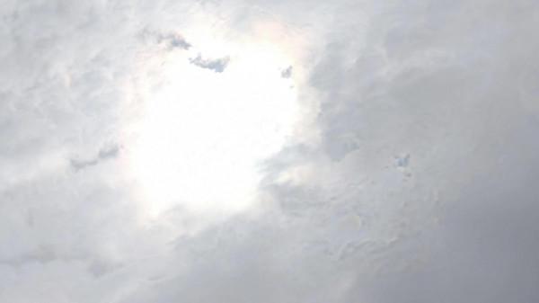 冬季野釣小魚鬧窩？不存在，我已研究出獨家配方，只取窩裡大鯽魚