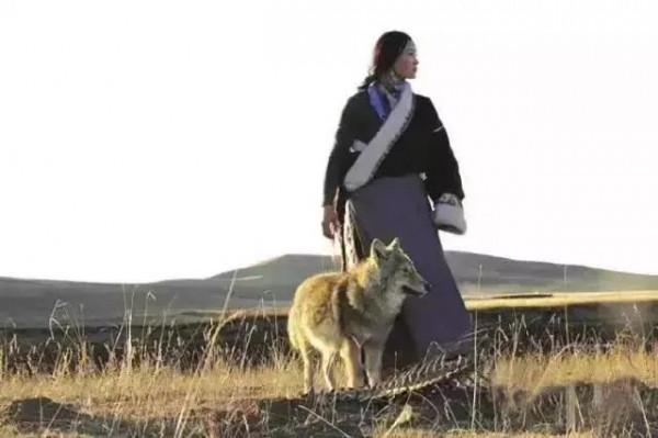 女嬰被遺棄林中，受母狼相助，十年後再相遇，又是生死離別