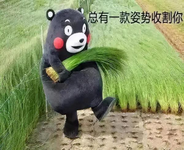 跟著錢大媽月虧6萬，生鮮加盟是門玄學嗎？