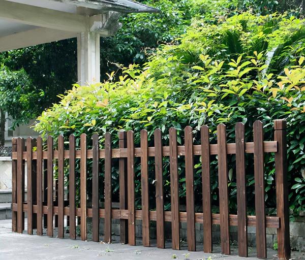 小院籬笆牆唯美靈動,直擊你的靈魂 小院籬笆牆唯美靈動,直擊你的靈魂