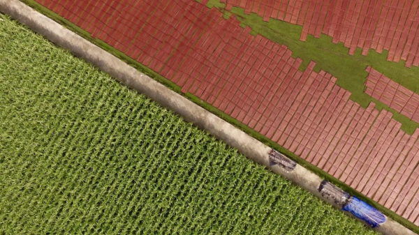 德國大師紮根北京胡同20年:中國元素使我獨樹一幟 德國大師紮根北京胡同20年:中國元素使我獨樹一幟