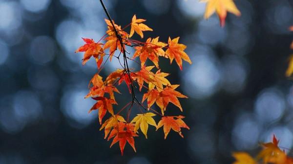 一首寫離別的佳作,全文沒有一個“離”字,卻處處都是離情 一首寫離別的佳作,全文沒有一個“離”字,卻處處都是離情