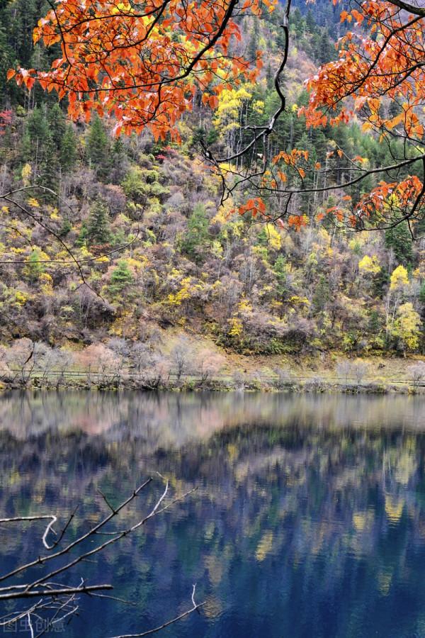 紅色才是中國秋天的主打色！這17處楓葉觀賞地，總有一個能驚豔你