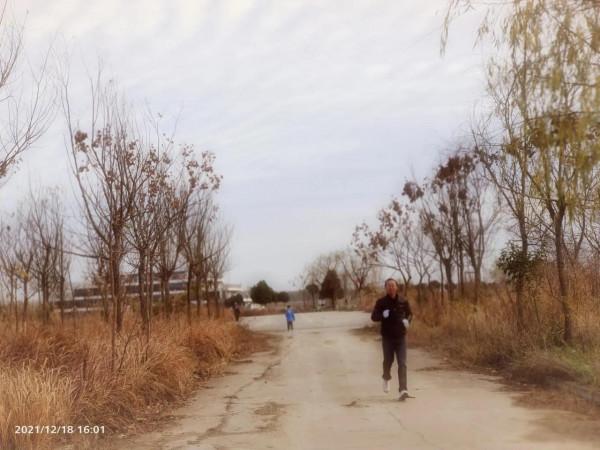 “油畫”老西灣 “油畫”老西灣