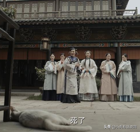 既然說貓沒死，於正和蔣勤勤等人和貓拍個影片，不就行了嗎？