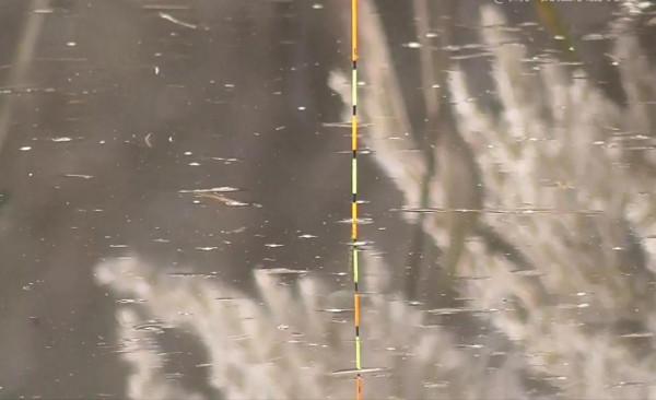 輕口鯽魚抓口很難嗎?四管齊下放大漂像,讓你一抓一個準 輕口鯽魚抓口很難嗎?四管齊下放大漂像,讓你一抓一個準