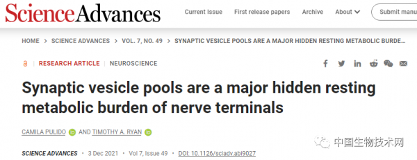 “996”的你好歹還有休息的時候，而大腦，是真正的007...