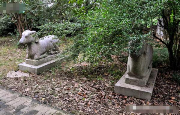 挖宿舍時，朱元璋最寵愛的女兒之墓被發現，竟有活人居住其中