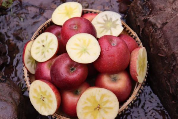 「神農助」雲南特產有哪些？