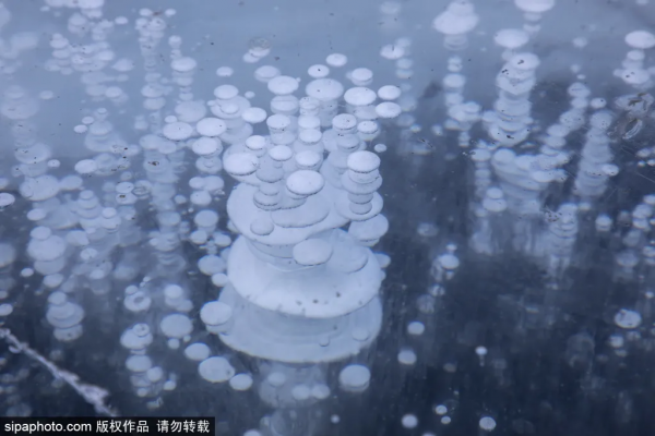 全部清零！當藝術戀上這座城，邂逅唯美“豎琴橋”，奇幻冰瀑即將亮相~