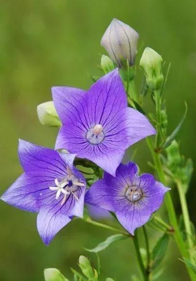 《老人言》總結出的精典