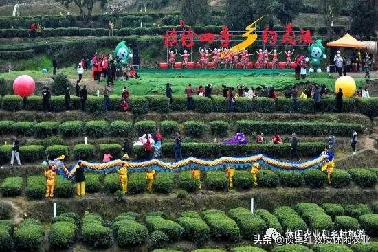 休閒農業的主要經營型別有哪些,其盈利點在哪裡? 休閒農業的主要經營型別有哪些,其盈利點在哪裡?