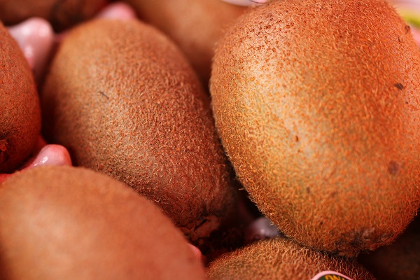 60歲以後,身體內容易流失4種營養元素,記得及時補上 60歲以後,身體內容易流失4種營養元素,記得及時補上