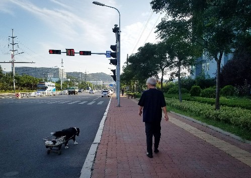 散步也需注意，這3個散步時的小細節，老年人群可多多留心