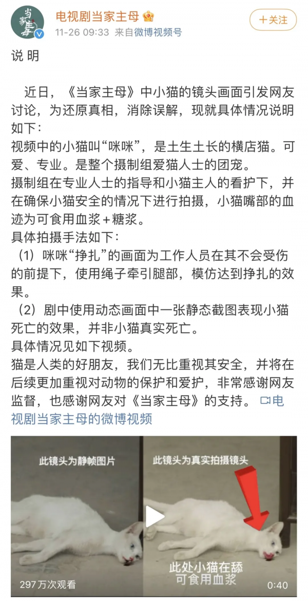 一隻貓，讓《當家主母》的評分一降再降