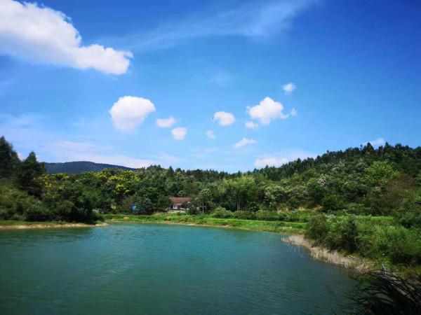 國內首次:生態捕撈,禁釣不禁捕,釣魚人何去何從? 國內首次:生態捕撈,禁釣不禁捕,釣魚人何去何從?