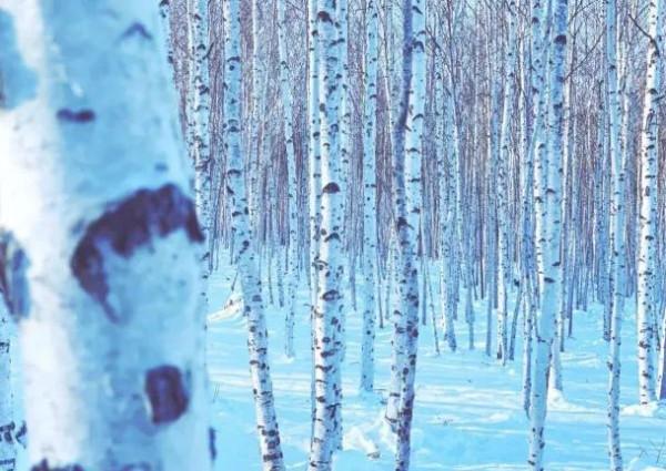 中國最壕高鐵列車：耗資上億，一張票超過6萬