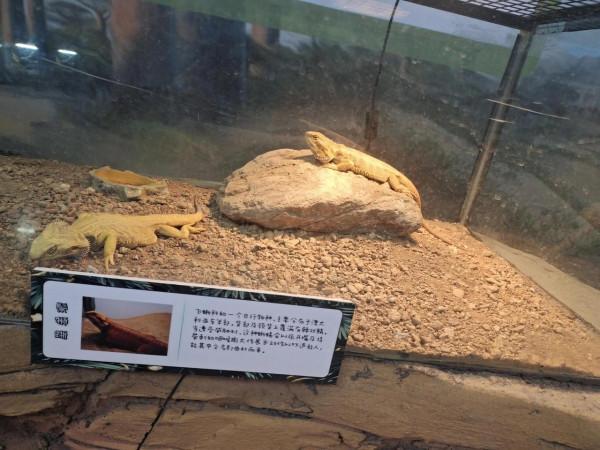 內蒙古科技館一日遊