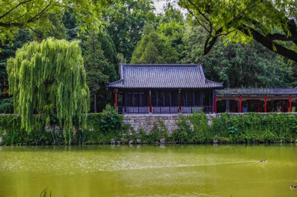 夏日度假好去處，古九州之一青州遊玩攻略